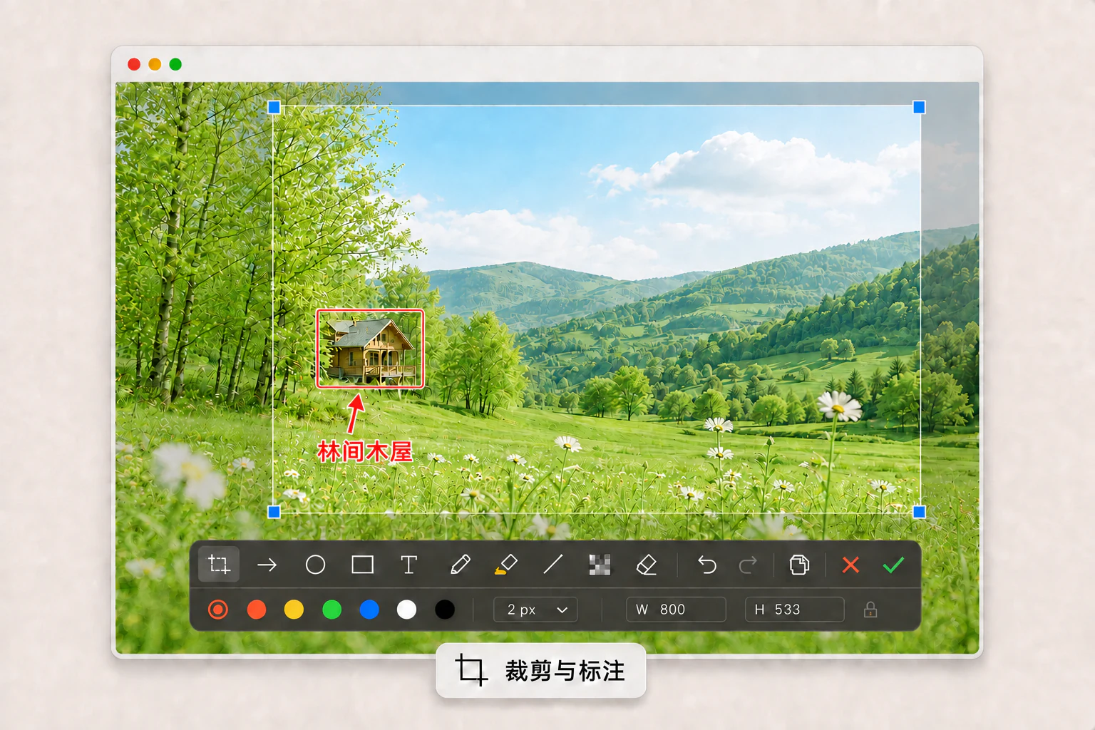 PicSee 在清新草地背景上框选图片区域，添加箭头与文字标注后复制或保存